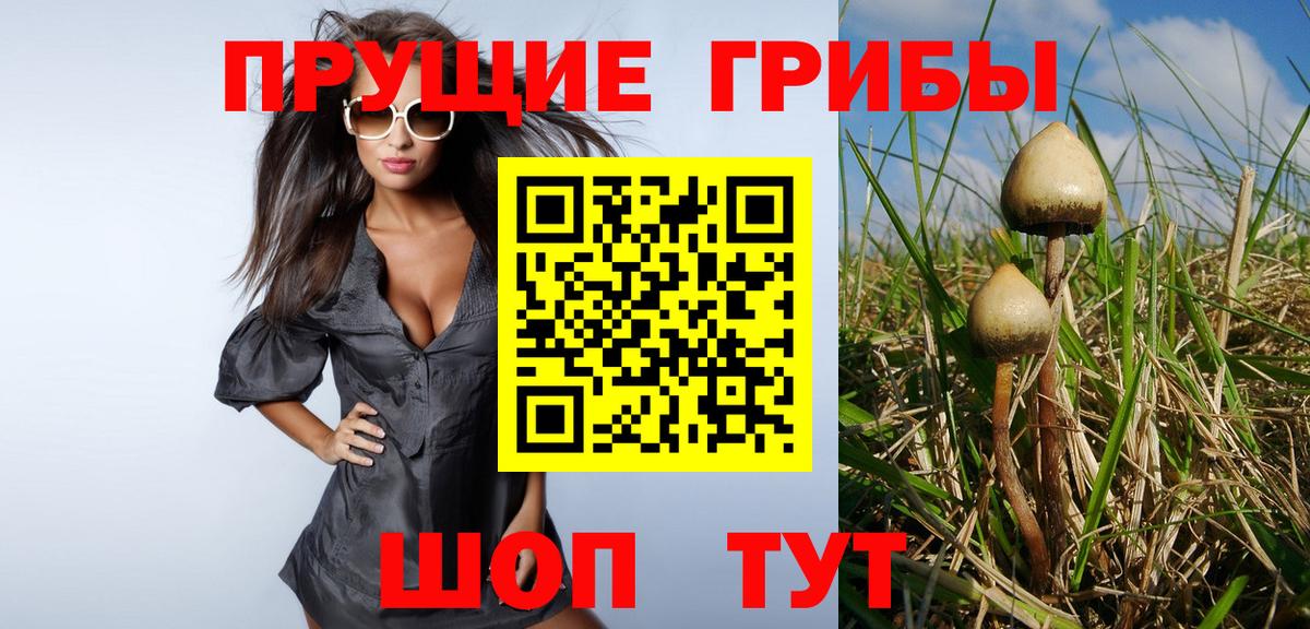 Евпатория  Галлюциногенные грибы Cubensis  Вход с VPN 